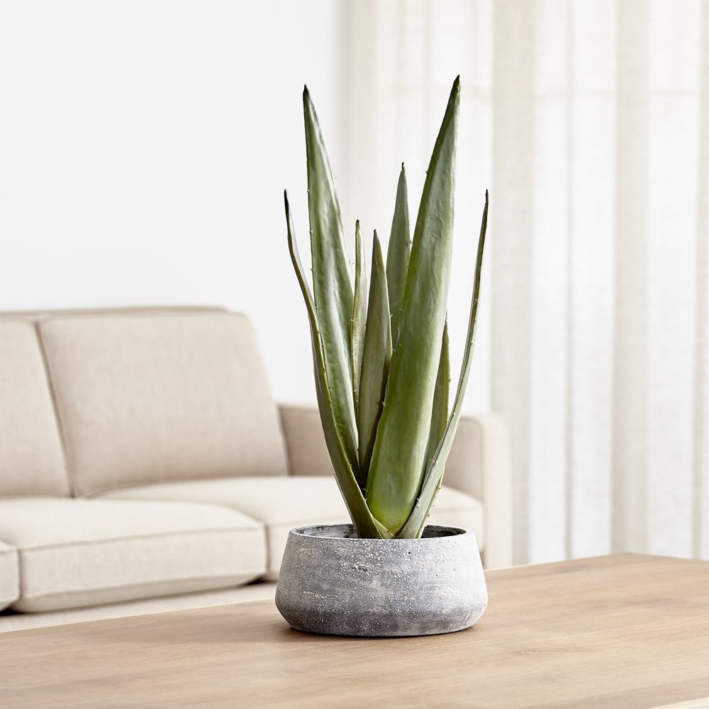 Faux Potted Agave - Image 1