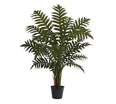 Faux Potted Evergreen Plant - Image 0