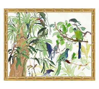 Rainforest Birds - Image 1