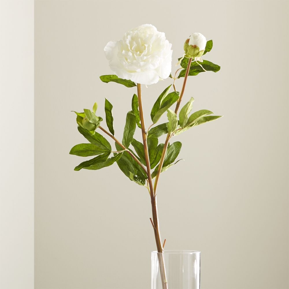 Artificial White Peony Flower Stem - Image 0
