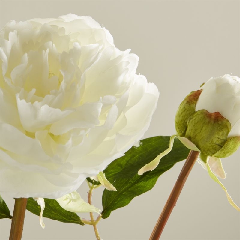 Artificial White Peony Flower Stem - Image 3