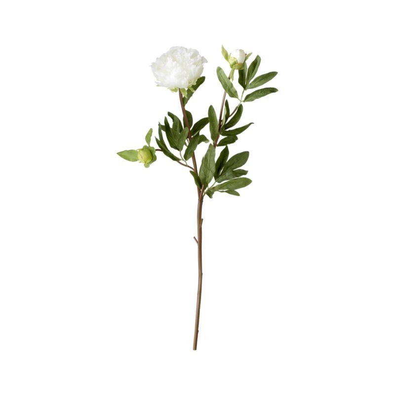 Artificial White Peony Flower Stem - Image 4