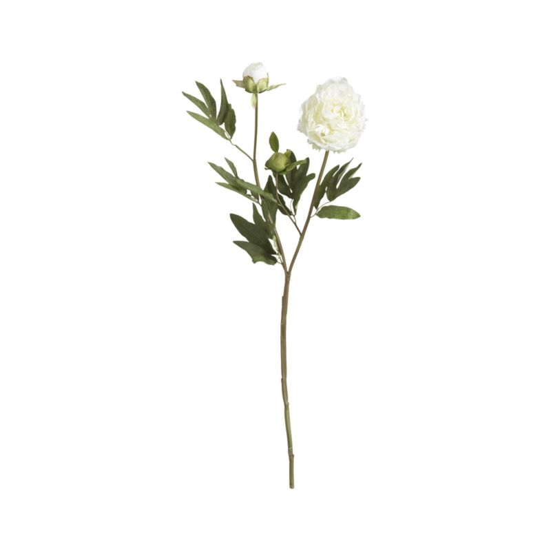 Artificial White Peony Flower Stem - Image 5