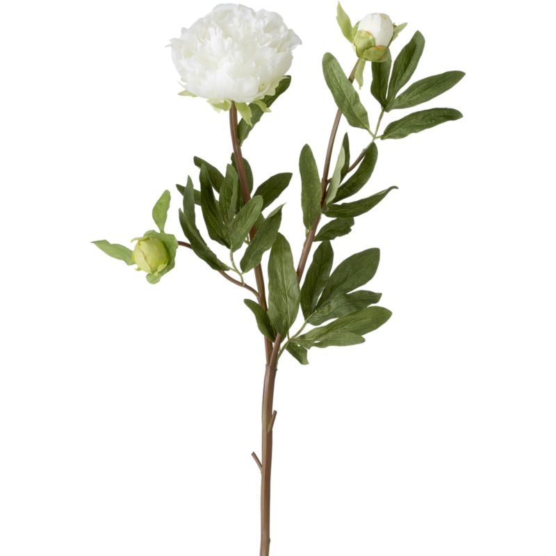 Artificial White Peony Flower Stem - Image 6