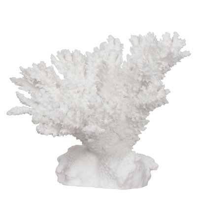 Hodder Coral Sculpture - Image 0