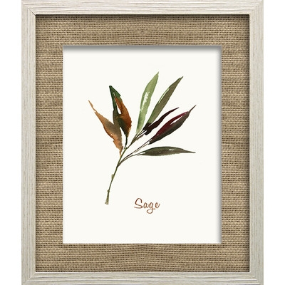 Wild Sage by Asia Jensen Framed Painting Print - Image 0