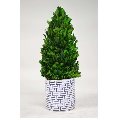 Tower Desktop Boxwood Topiary in Planter - Image 0