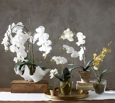 Faux Orchid in Glass Vase - Image 3