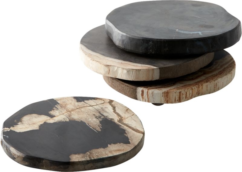 Ring Petrified Wood Coasters Set of 4 - Image 4