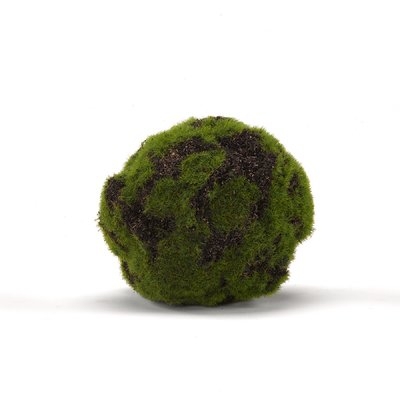 Crackled Moss Ball Plant - Image 0