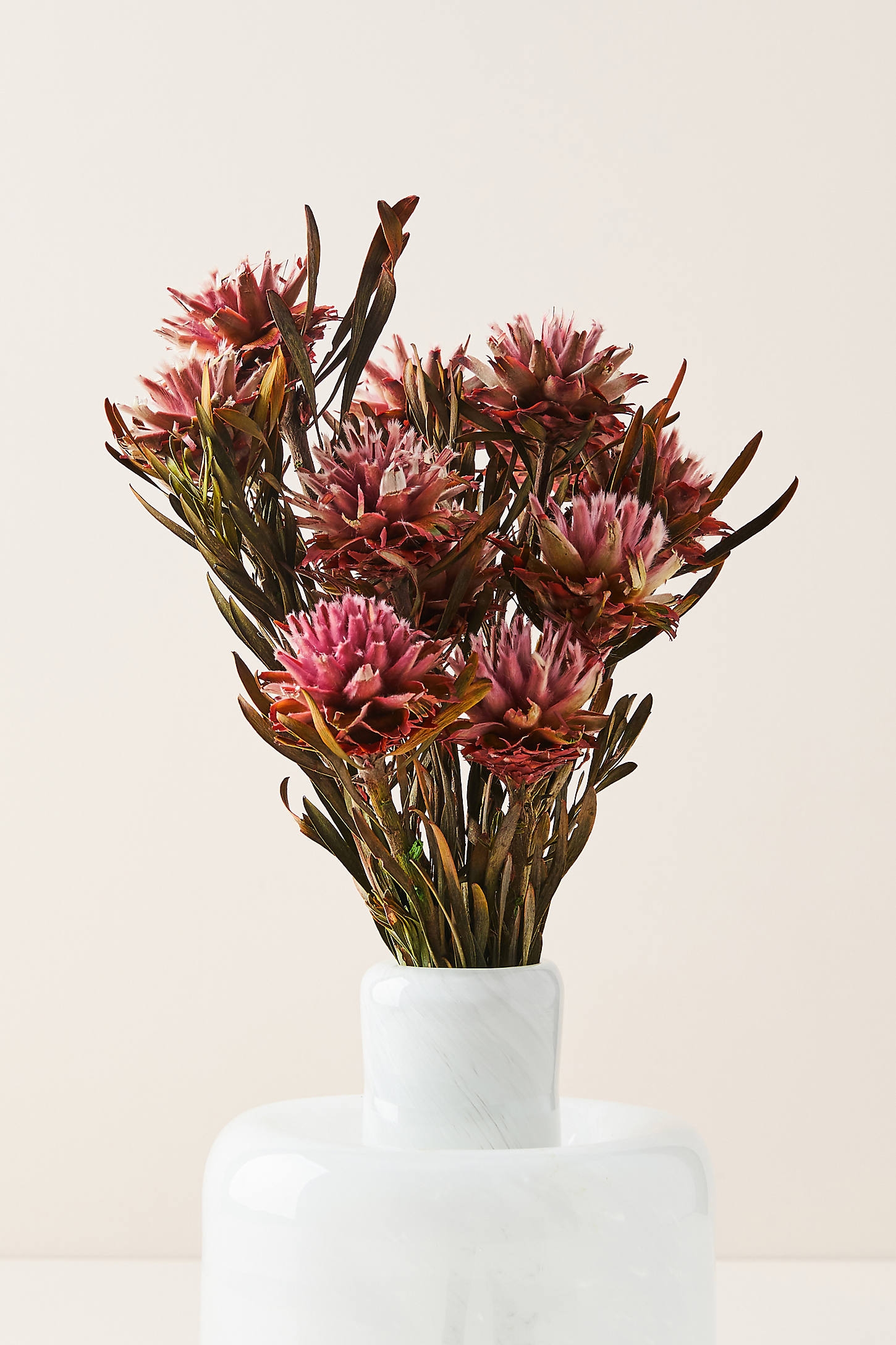 Dried Plumosum Bouquet - Image 0