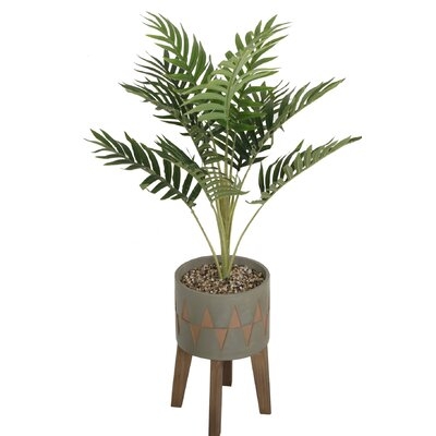 Palm Tree in Planter - Image 0