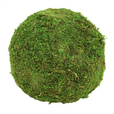 Stacey Decorative Moss Ball Sculpture (set of 6) - Image 0