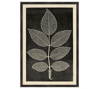 Leaf Detail 3 - 15 x 22 - Image 0