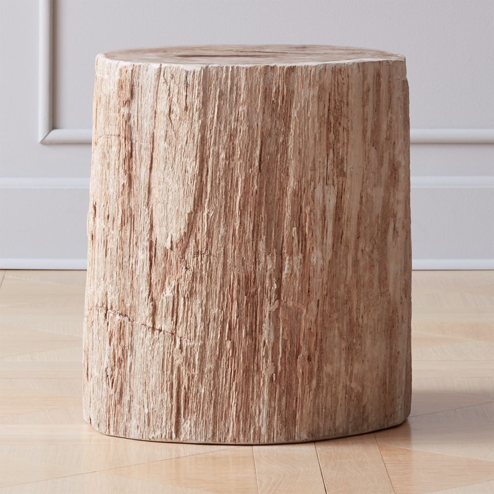 Petrified Wood Side Table - Image 0