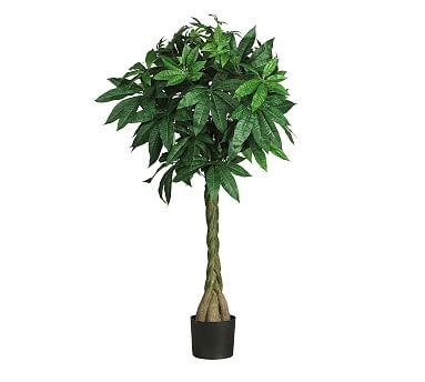 Faux Potted Braided Money Tree - Image 0