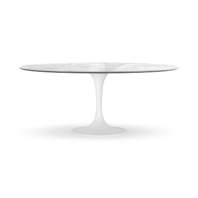 Tulip Pedestal Dining Table, Oval, White Base, Carrara Marble Top - Image 0