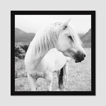 Minted for west elm, Field Horse, 28"x28" - Image 0