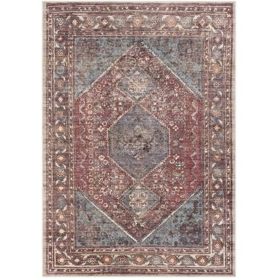 Mya Distressed Traditional Handwoven Red/Brown Area Rug - Image 0