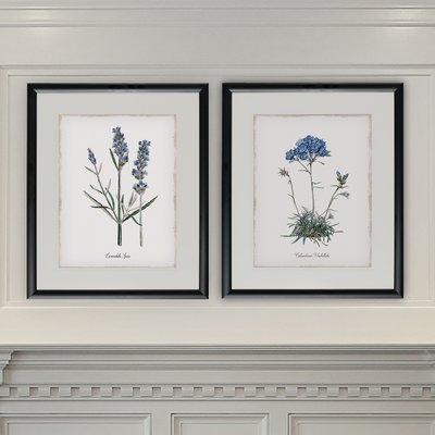 'Lavender' 2 Piece Framed Graphic Art Print Set - Image 0