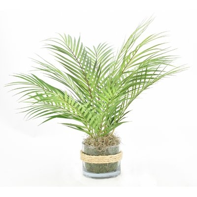 Floor Palm Plant in Rope Embellished Glass Pot - Image 0