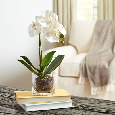 Faux Orchid in Glass Vase - Image 0