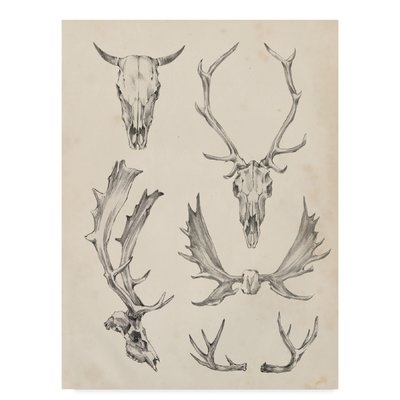 'Skull and Antler Study II' Watercolor Painting Print on Wrapped Canvas - Image 0