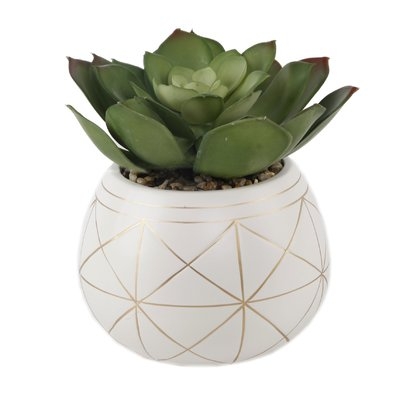 Geo Hand Painted Ceramic Agave Plant in Planter - Image 0