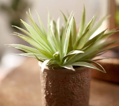 Faux Potted Spiky Succulent - Image 1