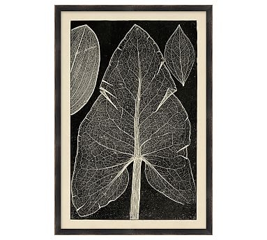 Leaf Detail 1 - 15 x 22 - Image 0