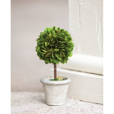 Mini Desktop Boxwood Topiary in Pot - Image 0