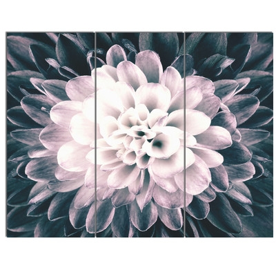 'Macro Chrysanthemum Flower' 3 Piece Wall Art on Wrapped Canvas Set - Image 1