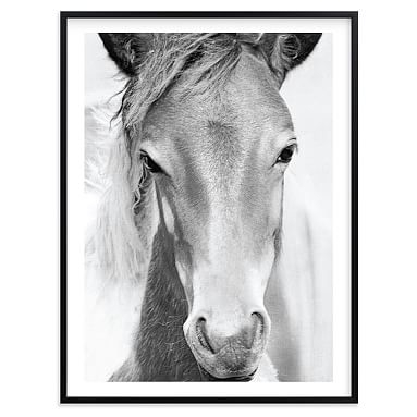 Wild and Free, Wall Art by Minted(R), 40 x 54, Black - Image 0