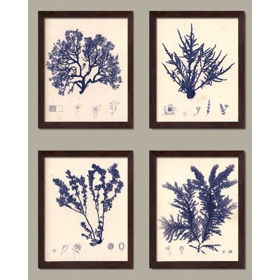 'Blue Botanical Study I Lovely Vintage Flowers' Graphic Art Print Set on Paper - Image 0