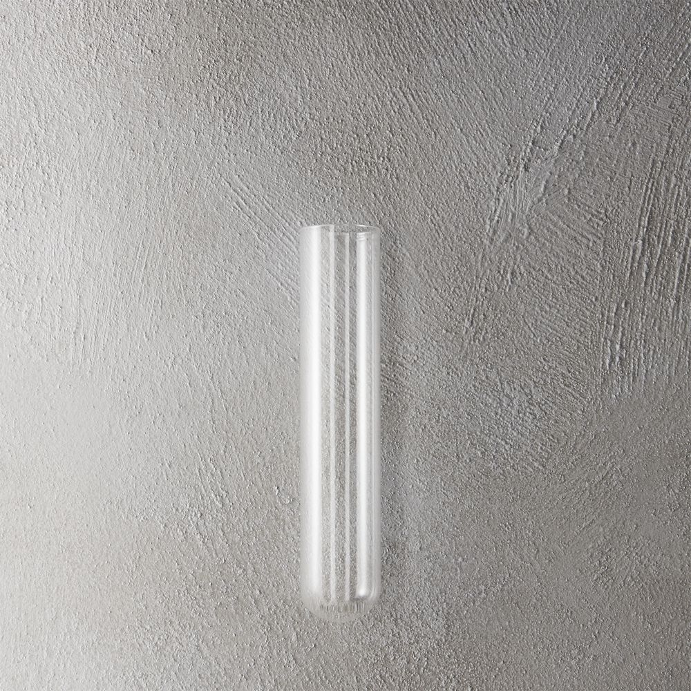 Beaker Glass Tube 8" Wall Vase - Image 0