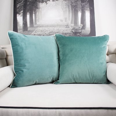 Catanzaro Velvet Throw Pillow - Image 1