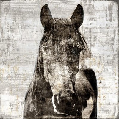 'Winter Stallion' Framed Graphic Art Print on Glass - Image 0