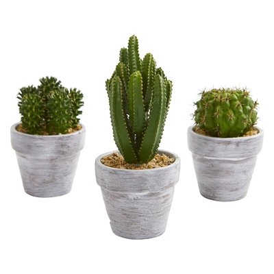 3 Piece Artificial Cactus Plant in Pot Set - Image 0