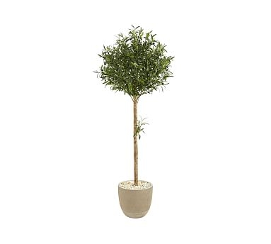 Faux Olive Topiary Tree In Sand Planter, 5' - Image 0