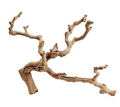 Dried Grapewood Branch, One, Natural - Image 0
