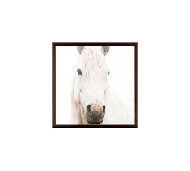 White on White Horse by Jennifer Meyers, 18 x 18", Wood Gallery, Espresso, No Mat - Image 2