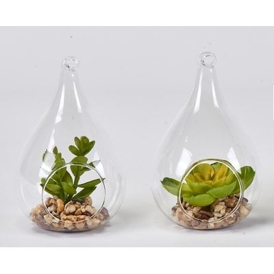 Faux Succulent Desktop Plant in Glass Vase Set (Set of 2) - Image 0