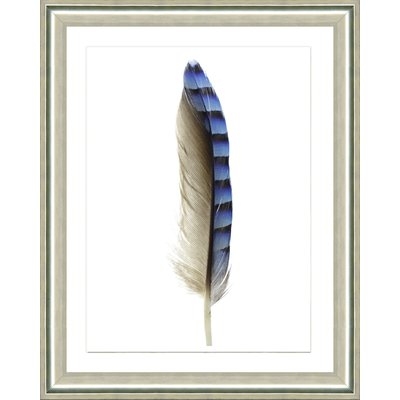 'Blue Feather I' Framed Graphic Art Print - Image 0