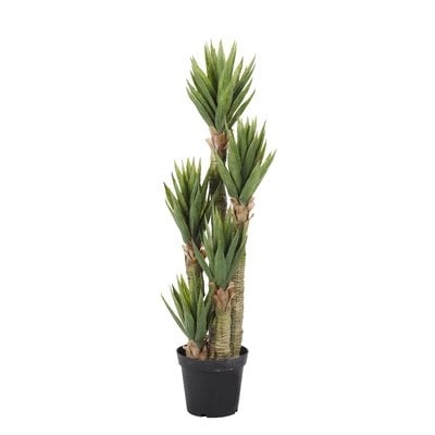 Floor Aloe Tree in Planter - Image 0