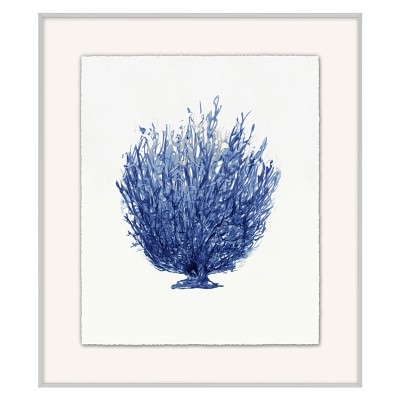 Coral Branch, Series 4 - Image 0