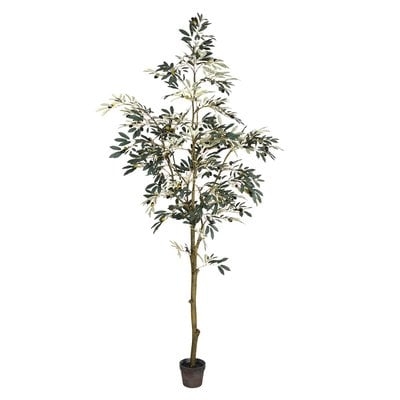 84" Faux Potted Olive Floor Foliage Tree in Pot - Image 0