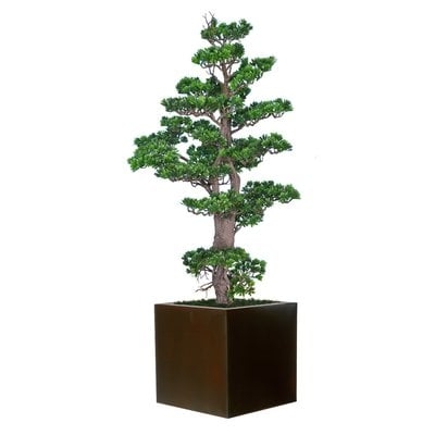 Bonsai Tree in Metal Planter - Image 0