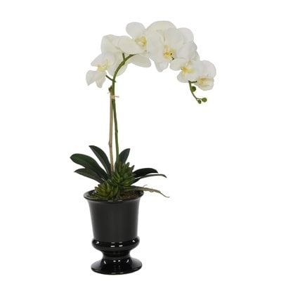 Artificial Phalaenopsis Orchid in Urn - Image 0
