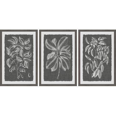 'Foliage VI' 3 Piece Framed Drawing Print Set on Paper - Image 0