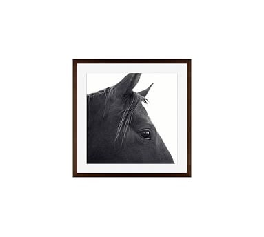 Dark Horse in Profile Framed Print by Jennifer Meyers, 18 x 18", Wood Gallery Frame, Espresso, Mat - Image 2